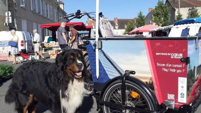 En direct du marché de @saintamandmontrond_officiel avec Paco des Serres de l'Etelon

#goodvibes 
#marché 
#produitslocaux

#destinationsudberry 
#moncherdepartement 
#berryprovince 
#regioncentre_valdeloire 

@berryprovince 
@departementducher 
@regioncentre_valdeloire